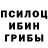 Псилоцибиновые грибы прущие грибы Merlin Master