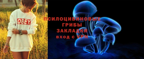 молекула духа Богородицк