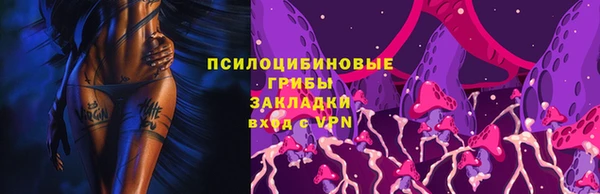 молекула духа Богородицк