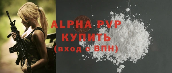 молекула духа Богородицк