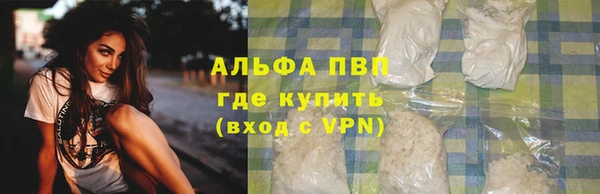 молекула духа Богородицк