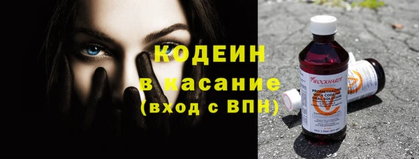 молекула духа Богородицк