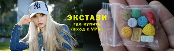 молекула духа Богородицк