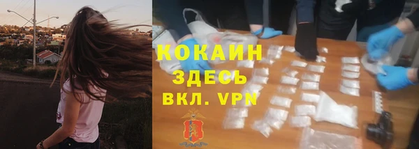 молекула духа Богородицк