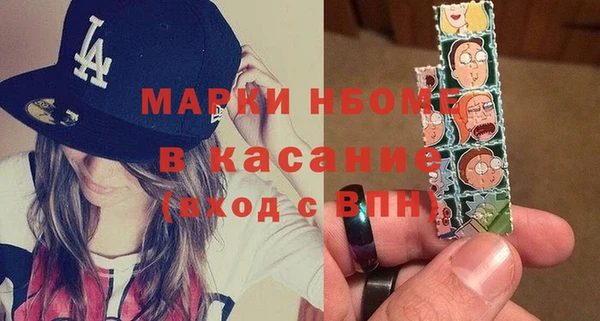молекула духа Богородицк