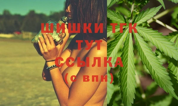 молекула духа Богородицк