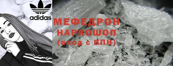 молекула духа Богородицк