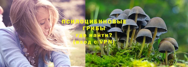 стафф Богородск